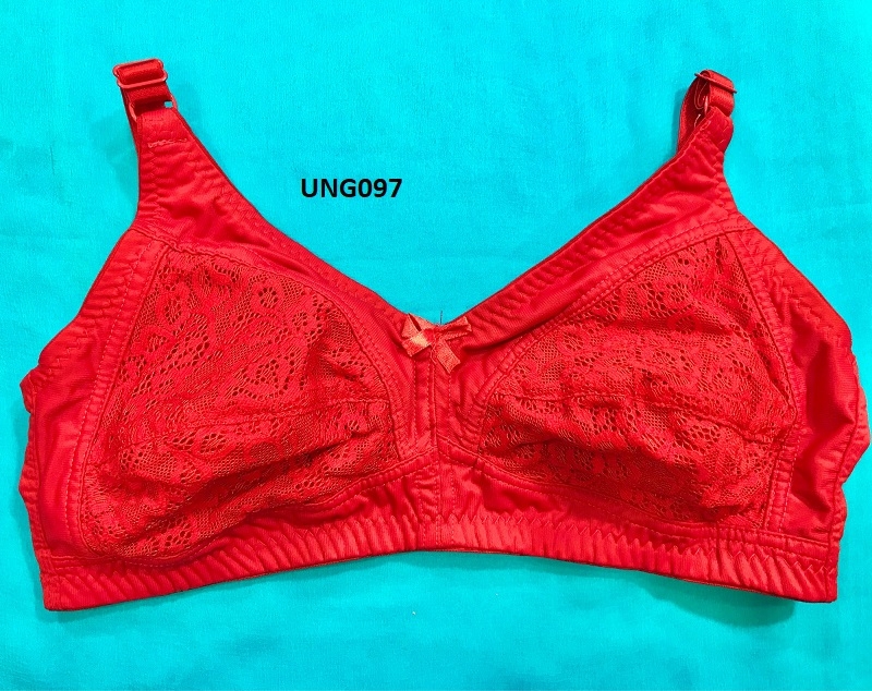 Lace Non-Wired Non-Padded Everyday Bra For Women's
